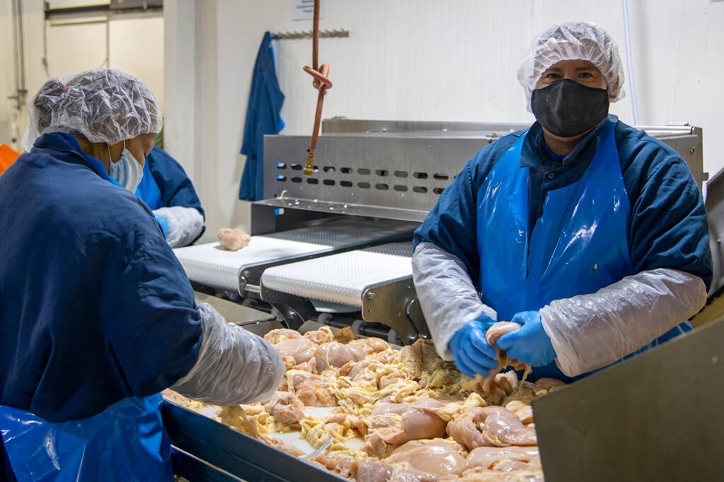 Eddy Foods employee following food safety regulations